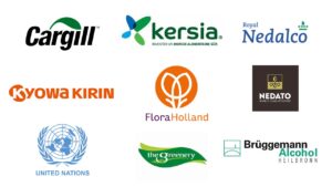 Companies worked for