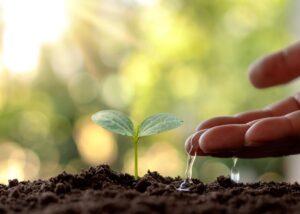 Zeociz supports your Food and Agriculture business