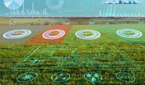 Our Interim Management Business case with respect to the AgTech business