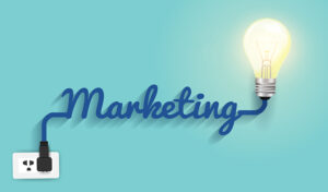 Marketing Interim Management